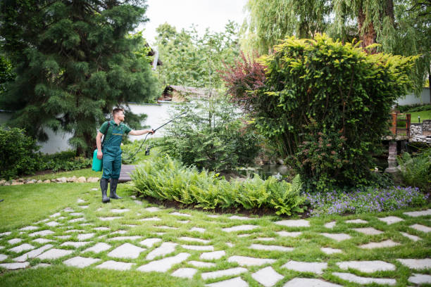 Professional Tree Services in Carlinville, IL