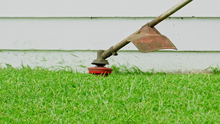 Best Arborist Consultation Services  in Carlinvle, IL